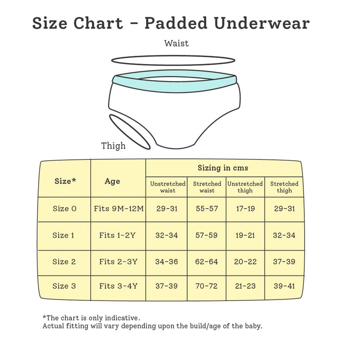 Padded Underwear - Semi Waterproof Pull up Underwear/Potty Training Pa —  Tinyrabbit
